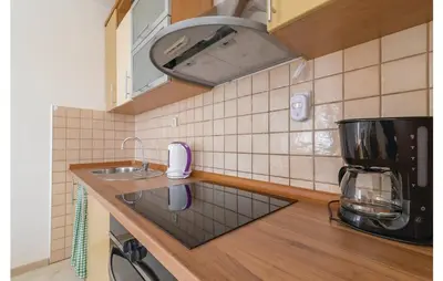 Kuhinja ili čajna kuhinja u objektu Apartment RED