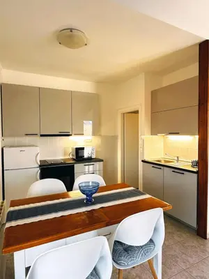 Kuhinja ili čajna kuhinja u objektu Apartment in Murter with sea view, terrace, air conditioning, Wifi 5026-2
