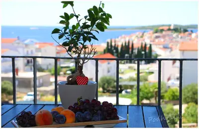 Hrana u apartmanu ili u blizini