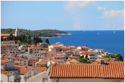 Priroda u blizini apartmana