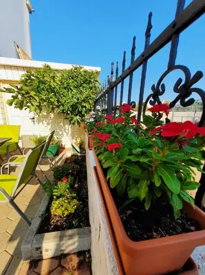 Vrt u objektu Apartments Dalmatia