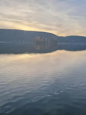 Priroda u blizini vila