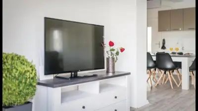 TV i/ili zabavni centar u objektu Olive Tree House with Jacuzzi, WiFi and 40m2 pool