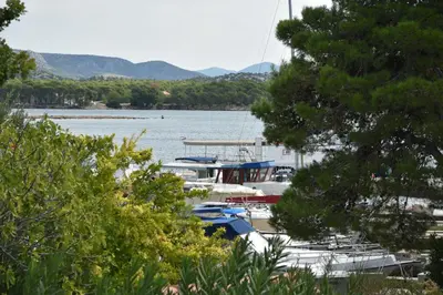 Priroda u blizini apartmana