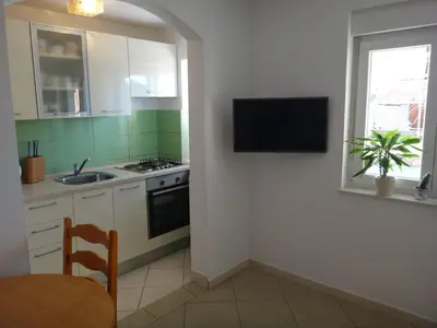 Kuhinja ili čajna kuhinja u objektu Apartments Pavlov