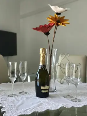 Pića u objektu Ivančica Apartments