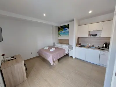 Kuhinja ili čajna kuhinja u objektu Apartmani Tropical