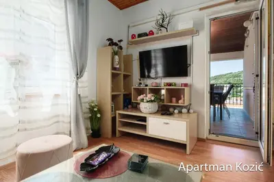 TV i/ili zabavni centar u objektu Apartmani Kozić