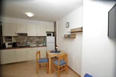Kuhinja ili čajna kuhinja u objektu Apartment Ljubica Tisno