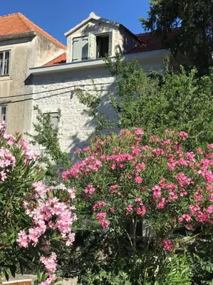 Vrt u objektu Villa Kapela