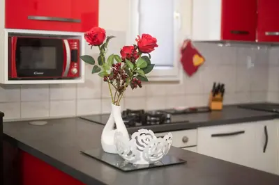 Kuhinja ili čajna kuhinja u objektu Apartments Anita Tribunj