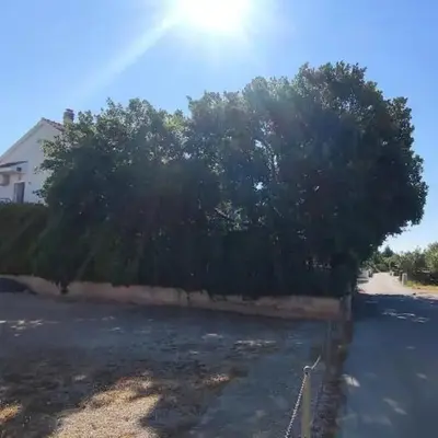 Apartments by the sea Srima - Vodice