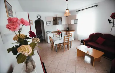 Kuhinja ili čajna kuhinja u objektu Apartment Stablinec Ivbr Croatia