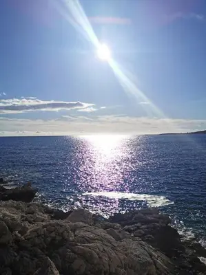 Priroda u blizini apartmana