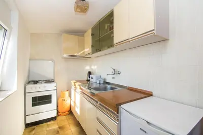 Kuhinja ili čajna kuhinja u objektu Apartments Nena