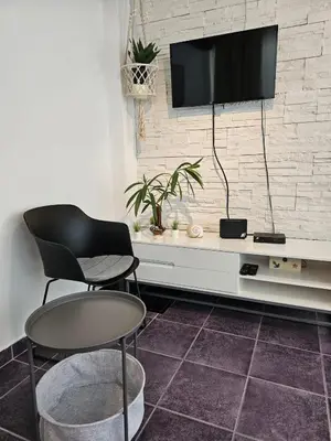 TV i/ili zabavni centar u objektu Mala kuća ispod borova