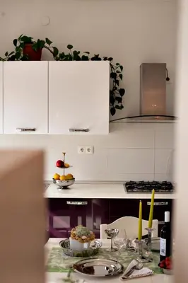 Kuhinja ili čajna kuhinja u objektu Petar Pan