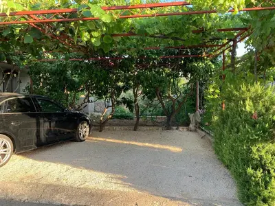 Vrt u objektu Olive apartments 2