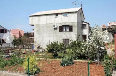 Vrt u objektu Olive apartments 2
