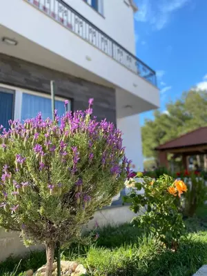Vrt u objektu Villa Alcmaria