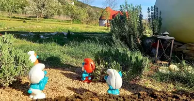 Vrt u objektu Krka Magic Pumpkin