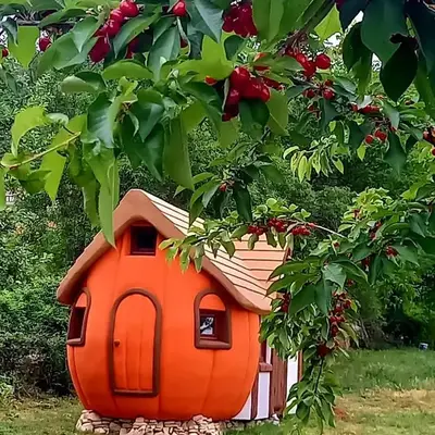 Krka Magic Pumpkin