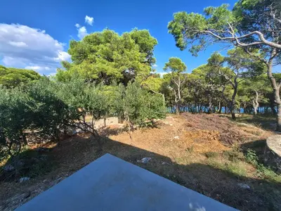Priroda u blizini apartmana
