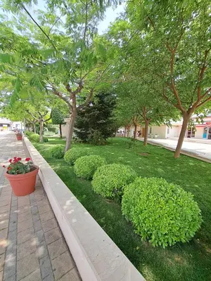 Vrt u objektu Apartman Karmen