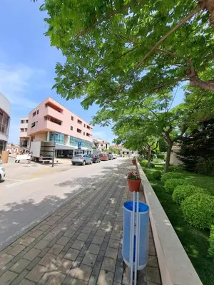 Okolica apartmana ili susjedstvo u blizini