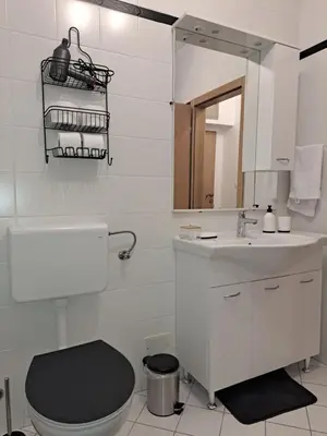 Kupaonica u objektu Apartman Karmen