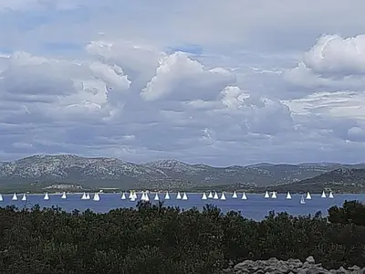 Priroda u blizini vila