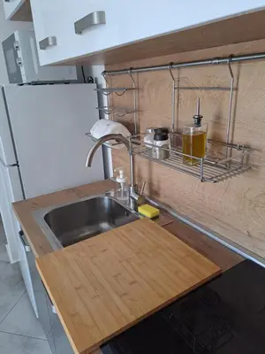 Kuhinja ili čajna kuhinja u objektu Apartmani Rak
