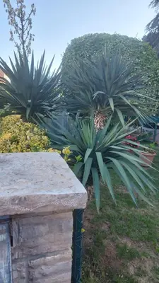 Vrt u objektu Apartmani Ljubica