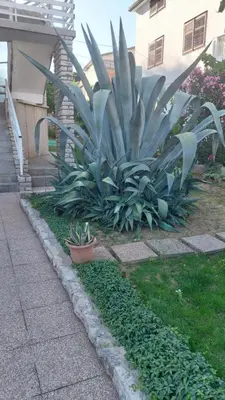 Vrt u objektu Apartmani Ljubica