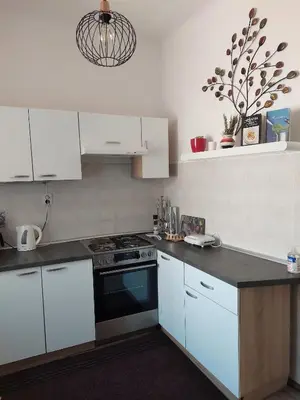 Kuhinja ili čajna kuhinja u objektu APP Old Garden House