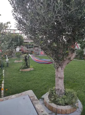 Vrt u objektu Apartman Grlić family suite Vodice Croatia