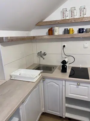 Kuhinja ili čajna kuhinja u objektu Apartmani Peko