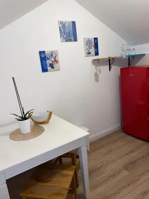 Kuhinja ili čajna kuhinja u objektu Apartmani Peko