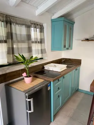 Kuhinja ili čajna kuhinja u objektu Apartmani Peko