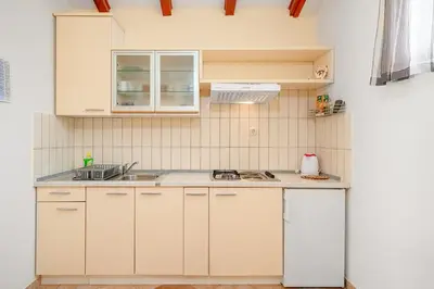 Kuhinja ili čajna kuhinja u objektu Apartments Janjac