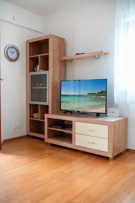 TV i/ili zabavni centar u objektu Apartments Janjac