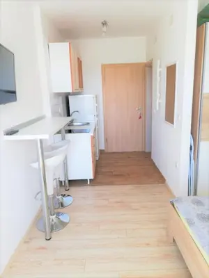 Kuhinja ili čajna kuhinja u objektu Apartments Janja