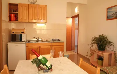 Kuhinja ili čajna kuhinja u objektu One-Bedroom Apartment In Srima