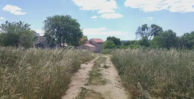 Priroda u blizini vikendica