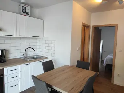 Kuhinja ili čajna kuhinja u objektu Joy I