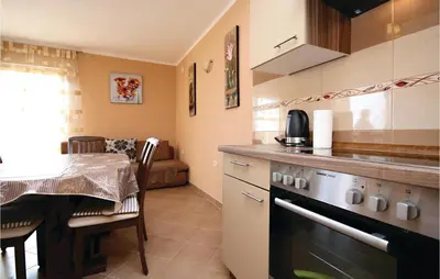 Kuhinja ili čajna kuhinja u objektu Apartment Zatoglav With Sea View 08