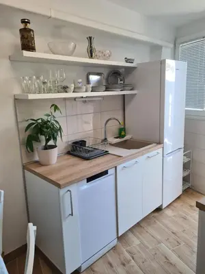 Kuhinja ili čajna kuhinja u objektu Apartman Kale