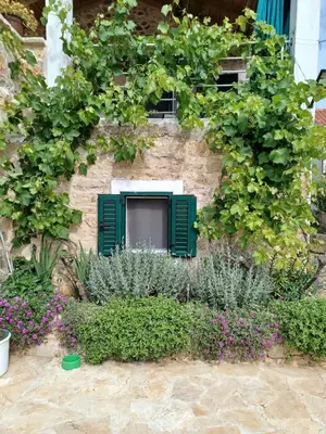 Vrt u objektu Country house Koštela