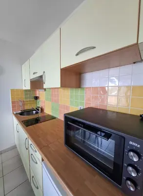 Kuhinja ili čajna kuhinja u objektu Apartman Luce