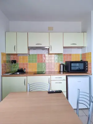 Kuhinja ili čajna kuhinja u objektu Apartman Luce